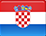 Upute i priručnici